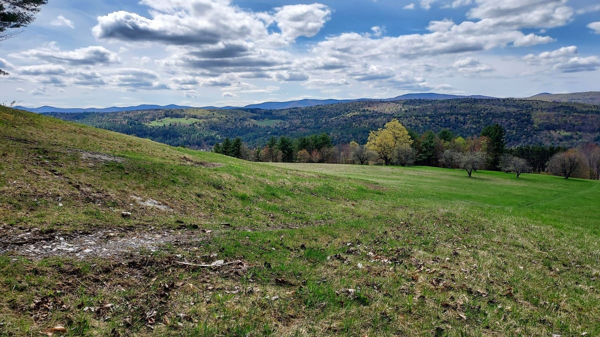 Anchor Loop Backyard 100